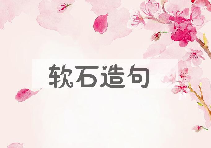 用软石造句