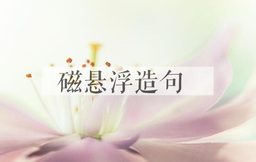 用磁悬浮造句