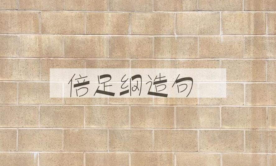 用倍足纲造句