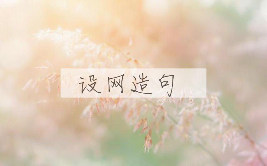 用设网造句