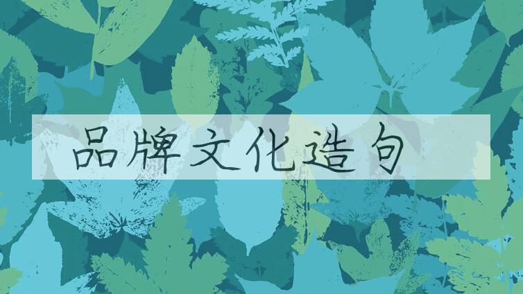用品牌文化造句