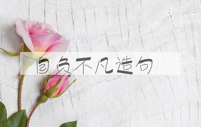 用自负不凡造句