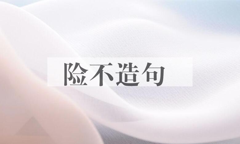 用险不造句