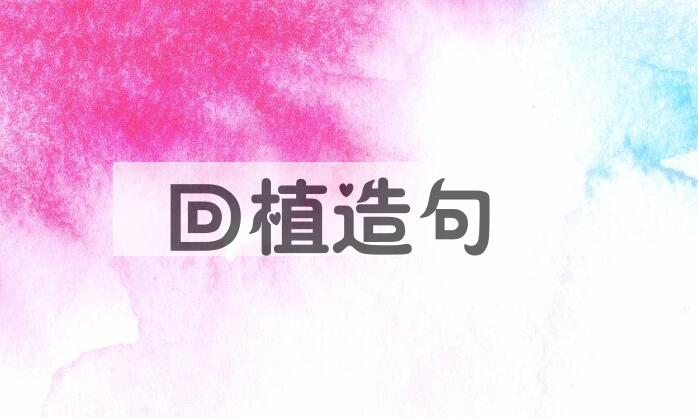 用回植造句