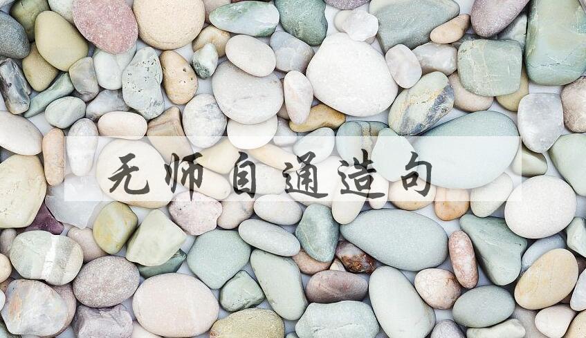 用无师自通造句