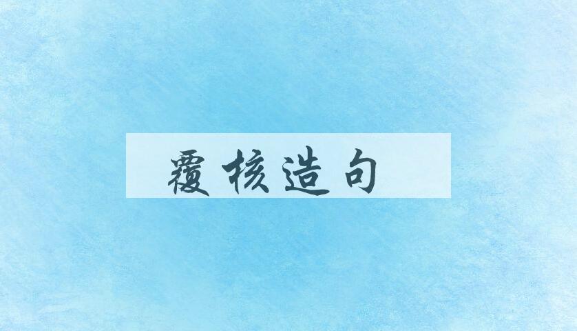 用覆核造句