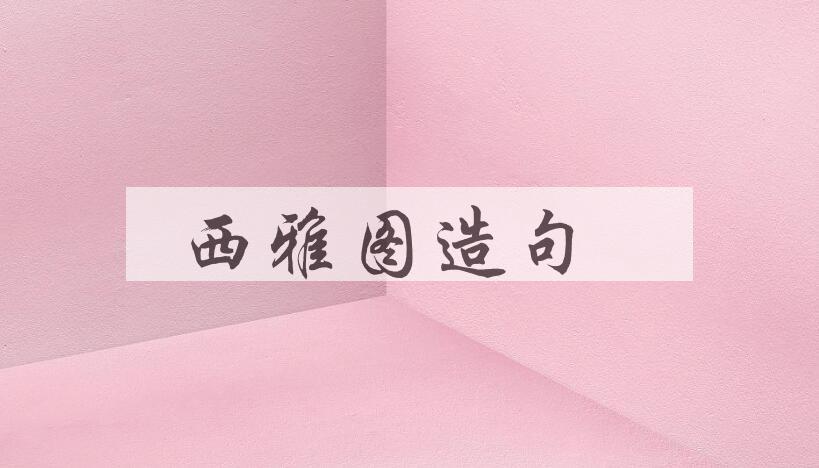 用西雅图造句