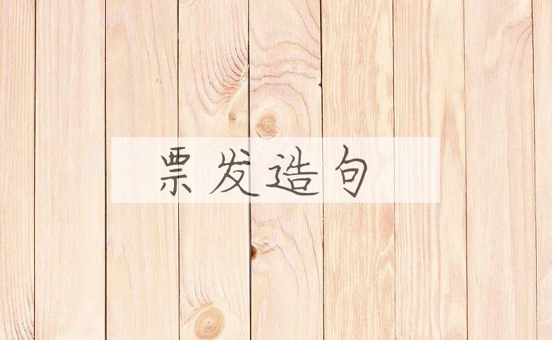 用票发造句