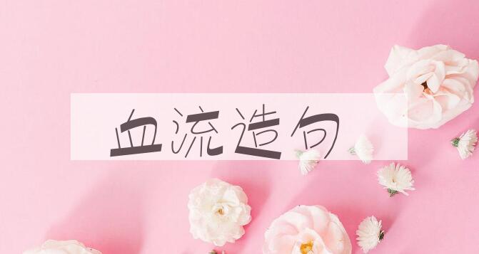 用血流造句