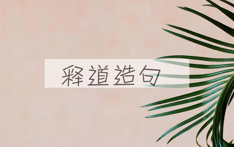 用释道造句