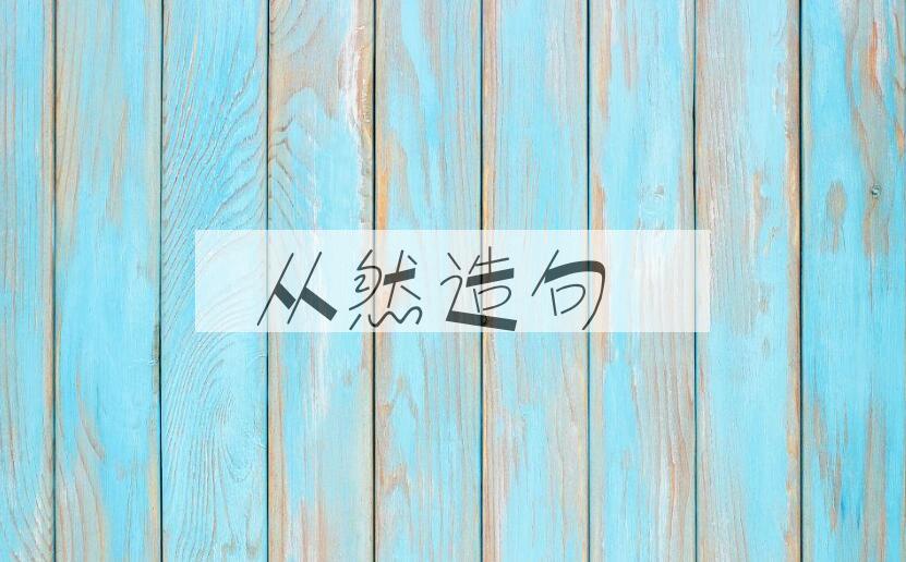 用从然造句