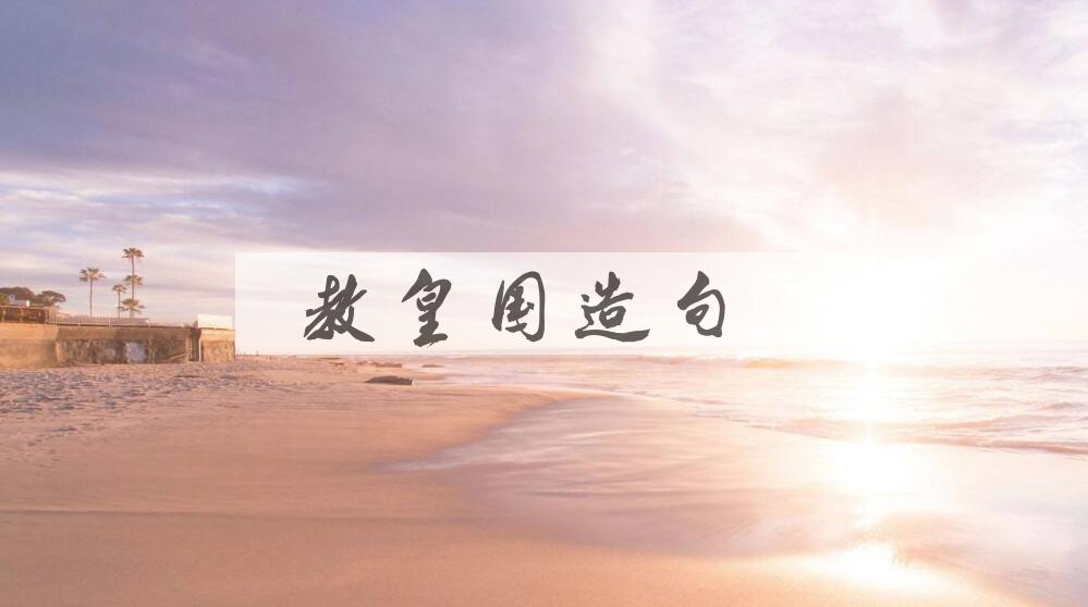 用教皇国造句