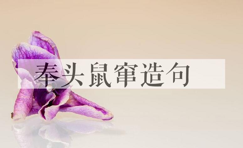 用奉头鼠窜造句