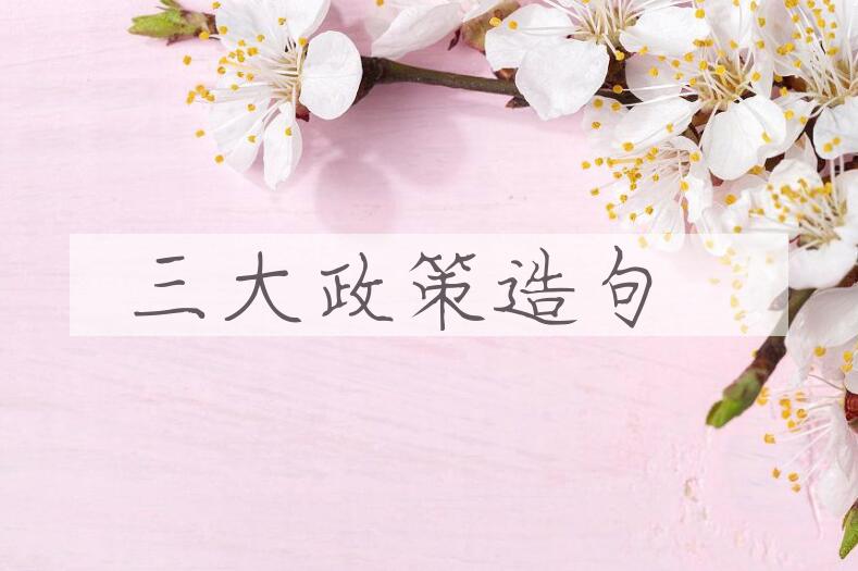 用三大政策造句