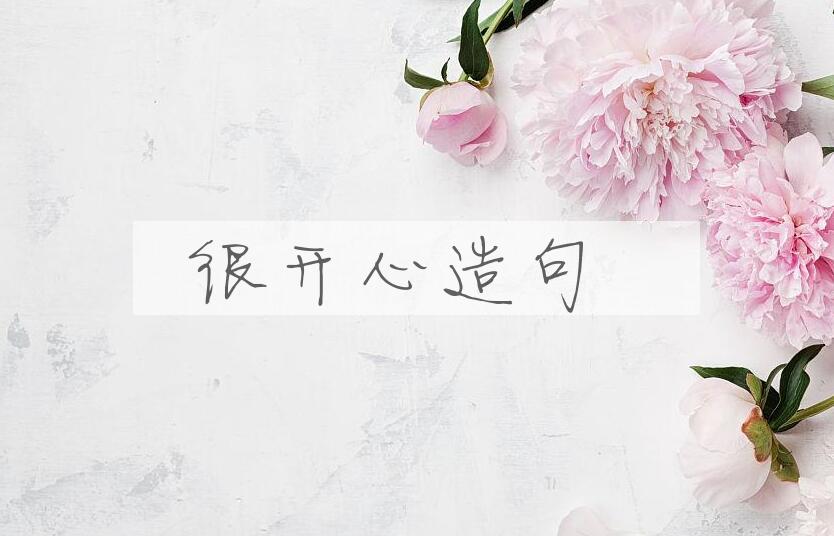 用很开心造句