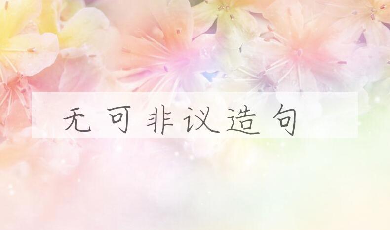用无可非议造句