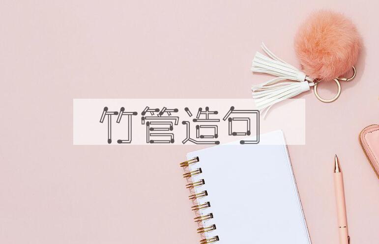 用竹管造句
