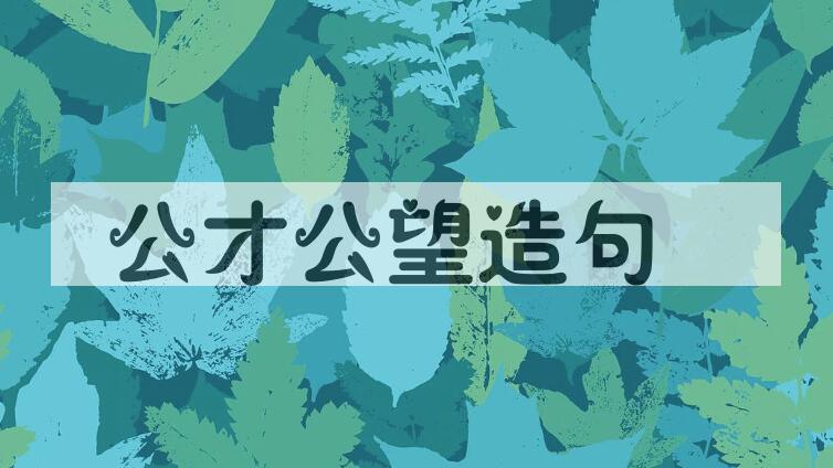 用公才公望造句