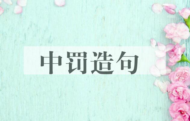用中罚造句