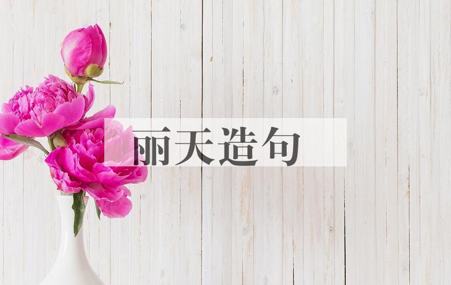 用丽天造句