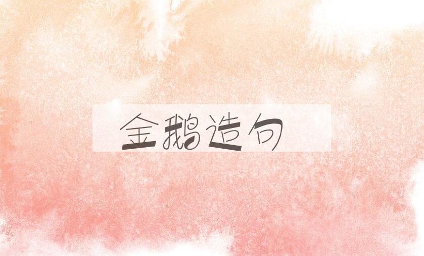 用金鹅造句