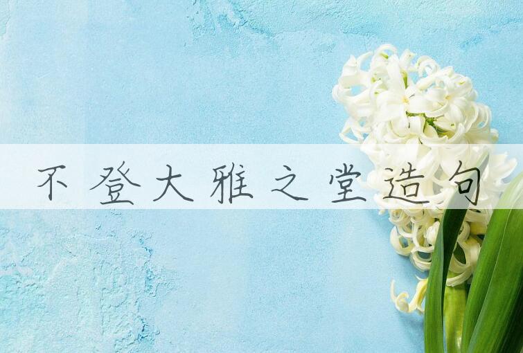 用不登大雅之堂造句