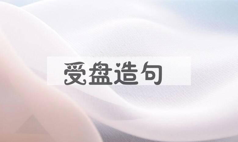 用受盘造句