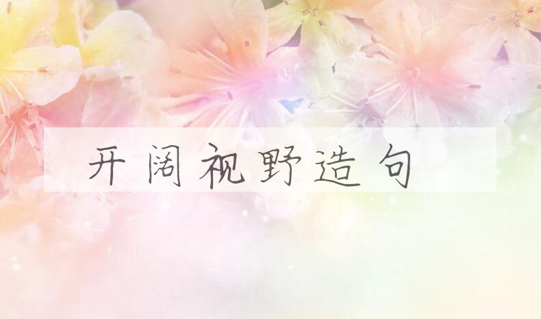 用开阔视野造句