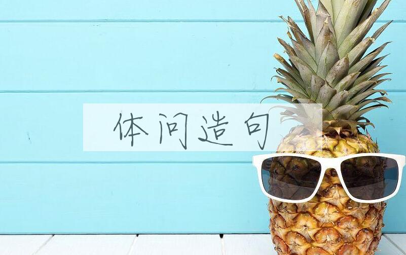 用体问造句