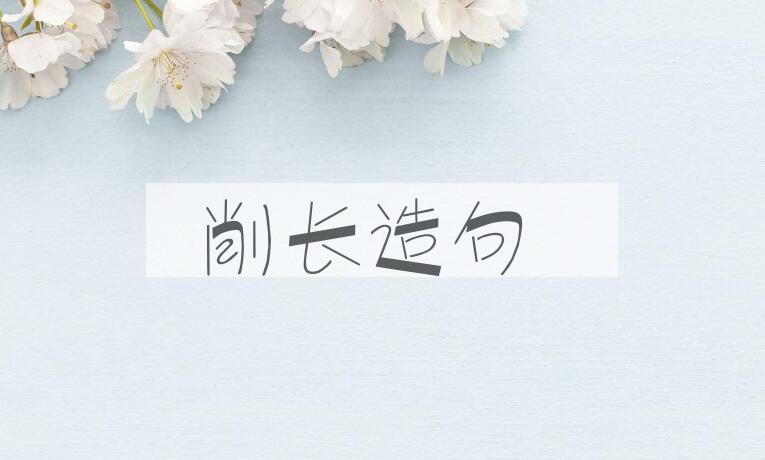用削长造句