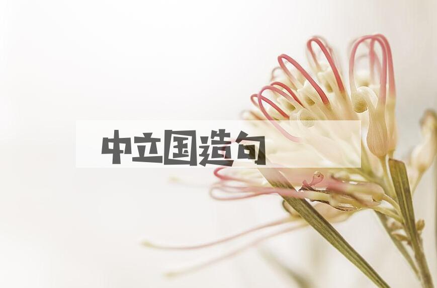 用中立国造句
