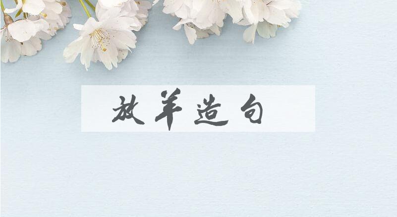 用放羊造句