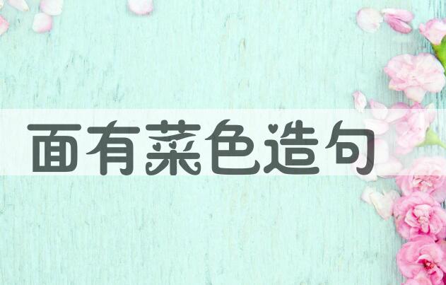 用面有菜色造句