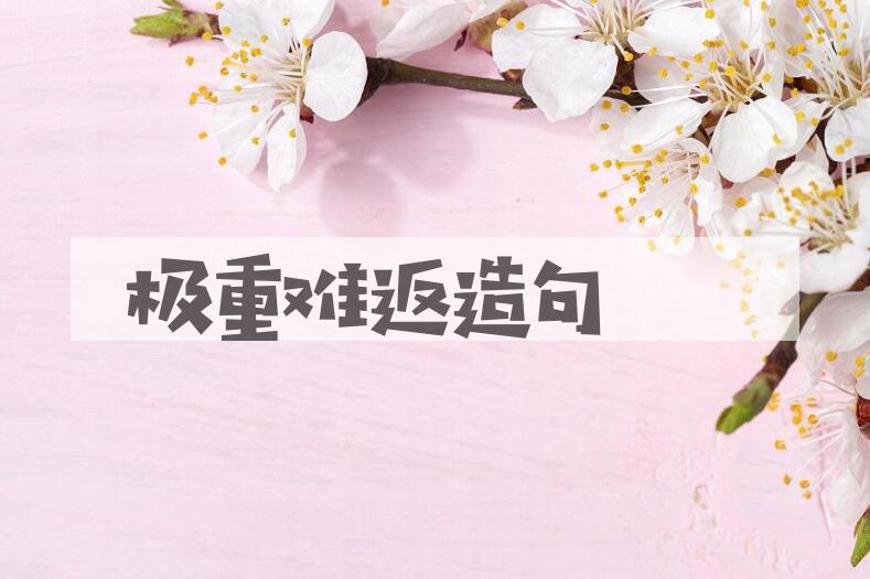 用极重难返造句