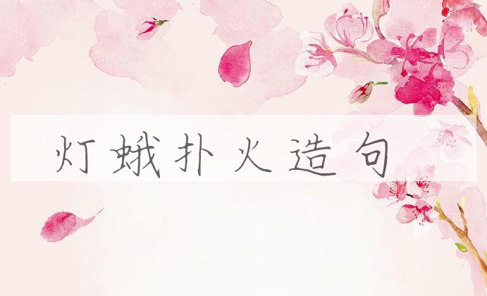 用灯蛾扑火造句