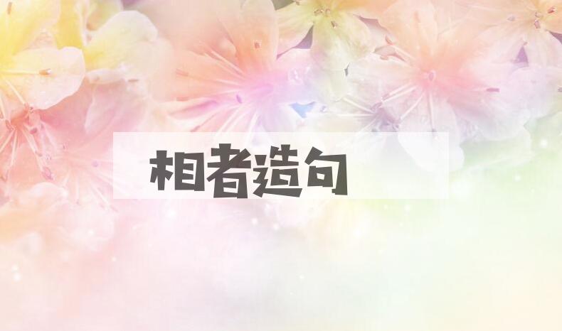 用相者造句