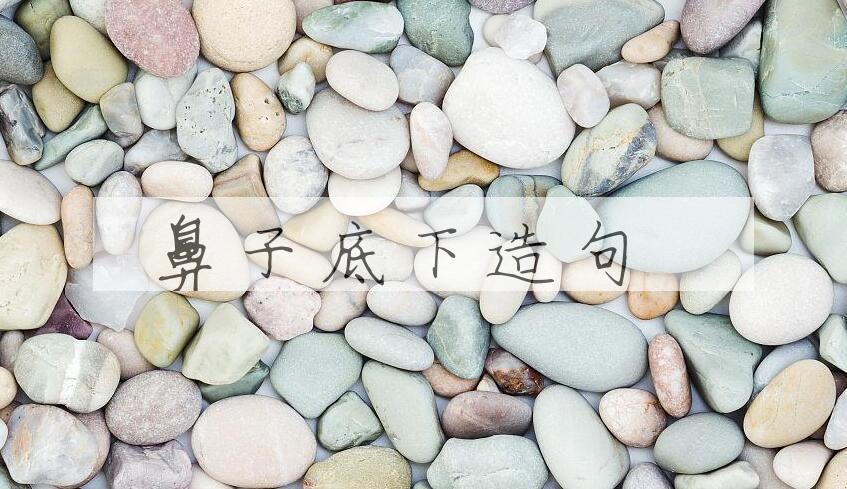 用鼻子底下造句