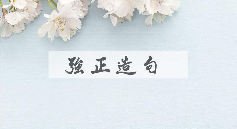 用强正造句
