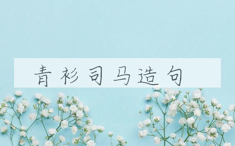 用青衫司马造句