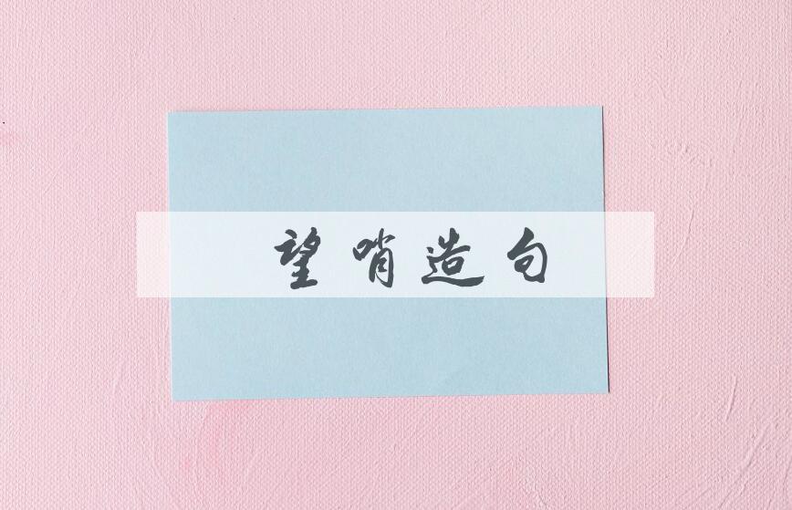 用瞭望哨造句