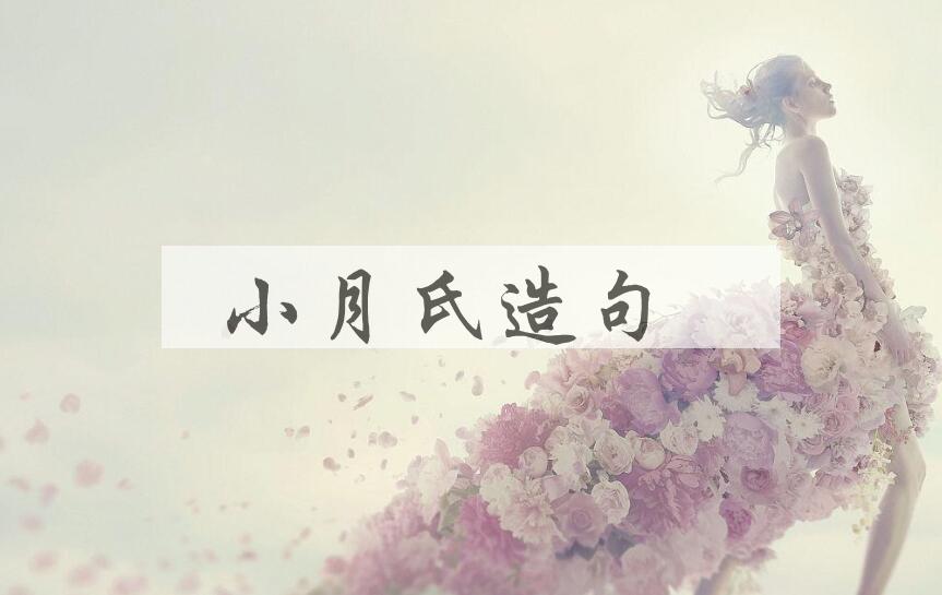 用小月氏造句