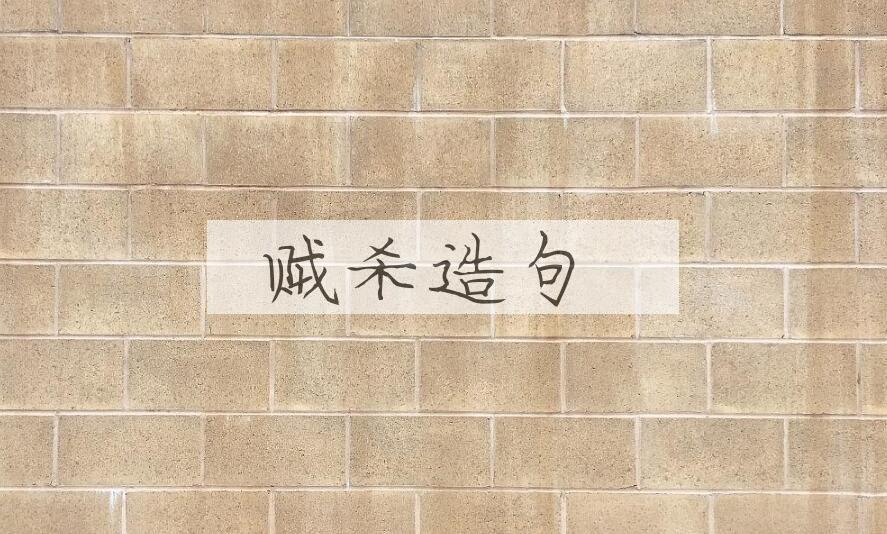 用贼杀造句