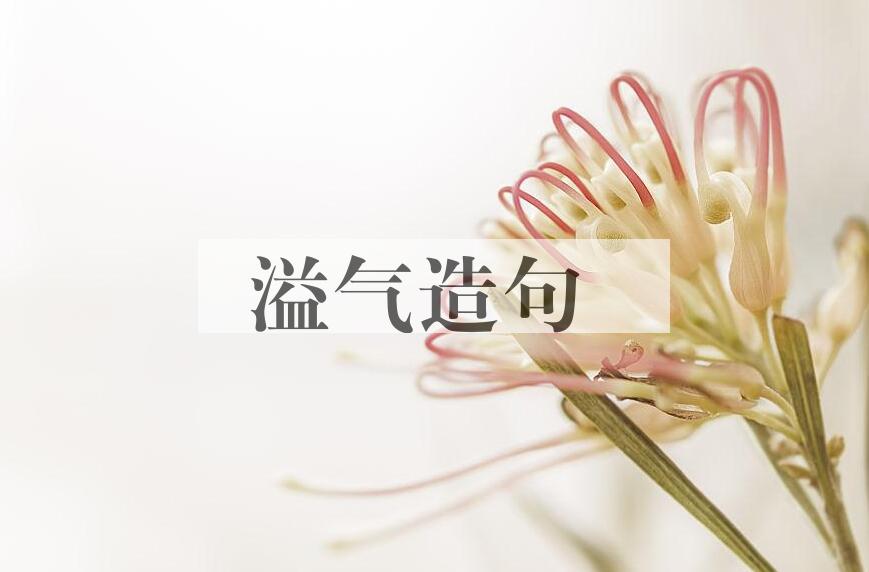 用溢气造句