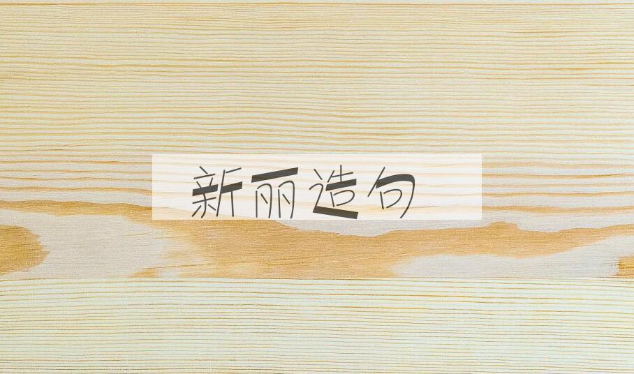 用新丽造句
