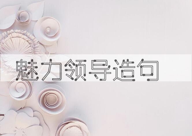 用魅力领导造句