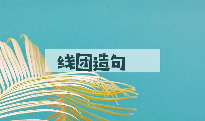 用线团造句