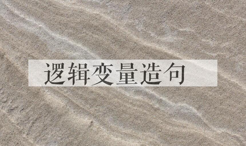 用逻辑变量造句