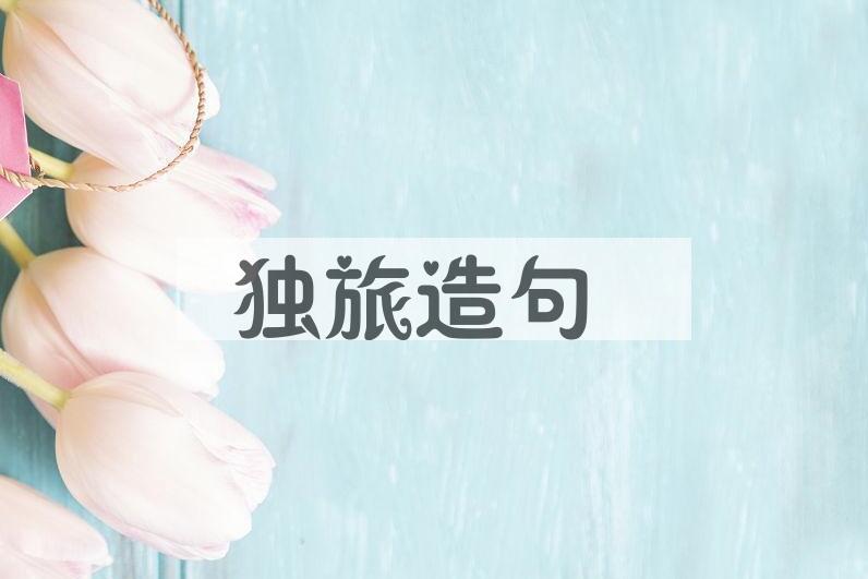 用独旅造句