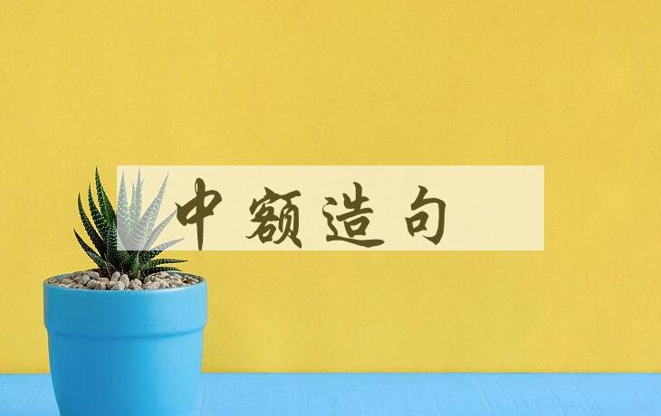 用中额造句