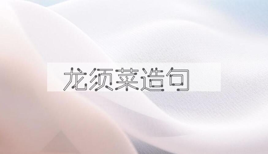 用龙须菜造句